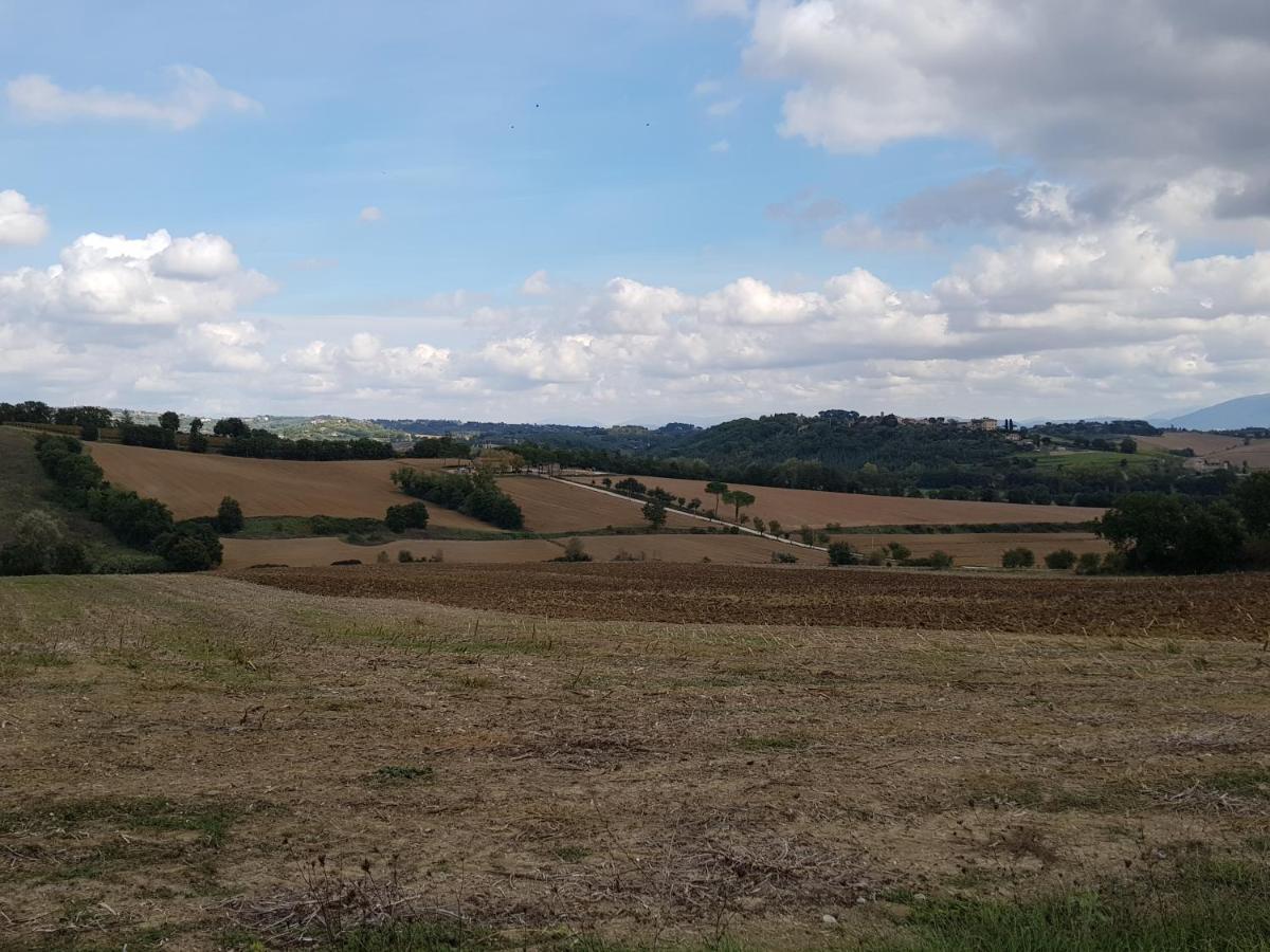 Agriturismo Il Pappamerlo Pila  ภายนอก รูปภาพ